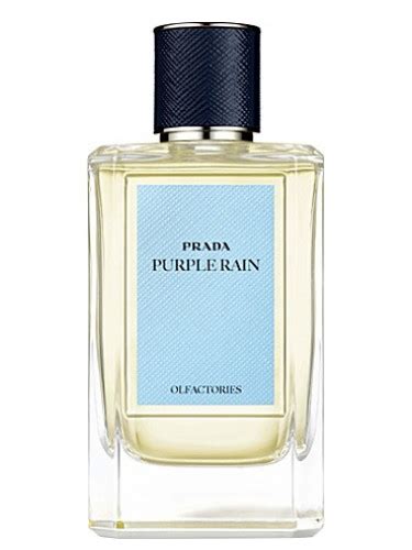 purple rain prada|purple rain perfume prada.